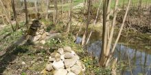 Alter Teich