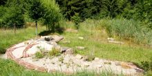 Insektenbeet am großen Teich